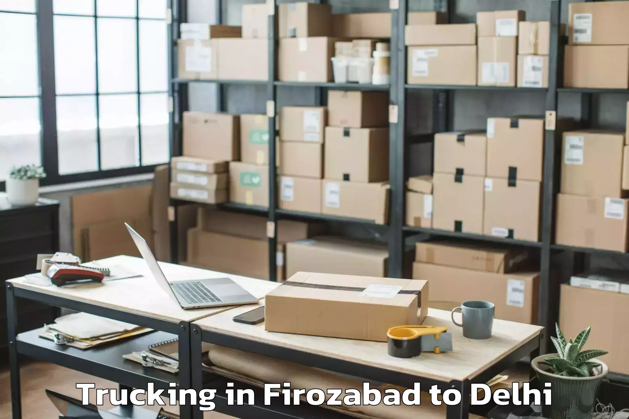 Book Firozabad to Ansal Plaza Mall Delhi Trucking